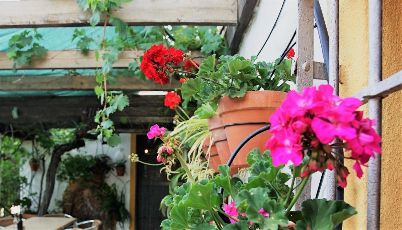 Casona Granado Hotel